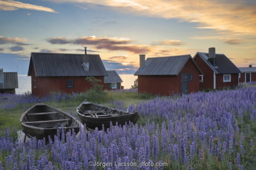 Nyhamn Gotland Sweden blue weed boathouse 