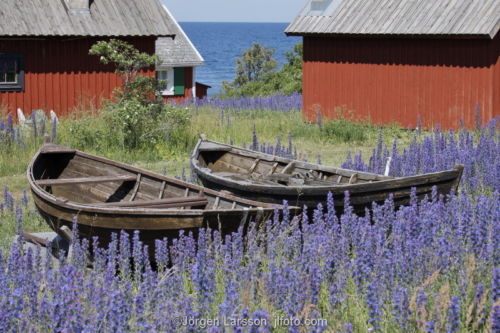 Nyhamn Gotland båthus båtar Blåeld 