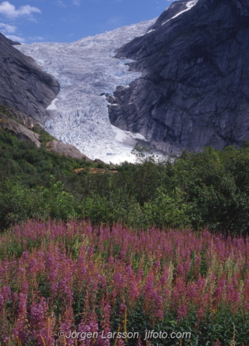 Brikdalsbreen Norway  Norge