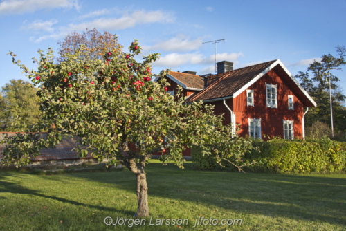 Red house garden at Tullgarns slott Sodermaland Sweden