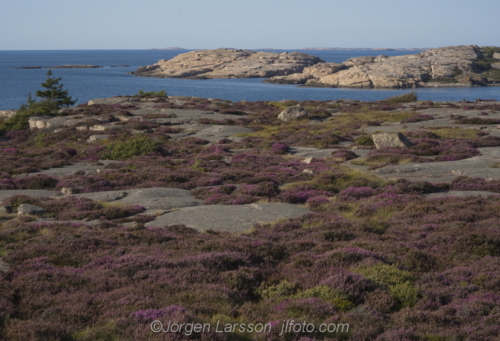 Ramsvikslandet Bohuslän Sweden