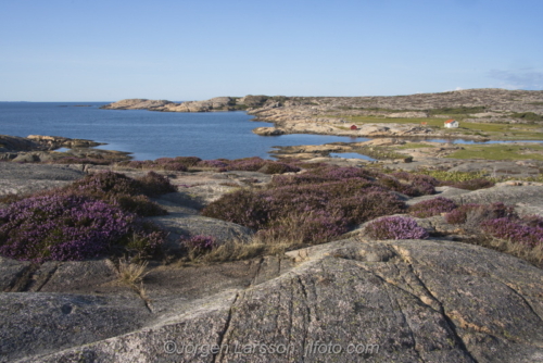 Ramsvikslandet Bohuslän Sweden