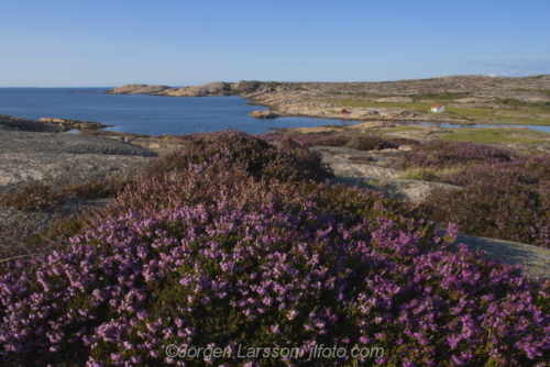 Ramsvikslandet Bohuslän Sweden