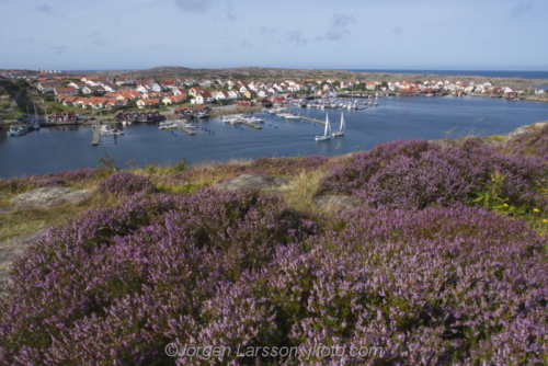 Kyrkesund Bohuslän Sweden