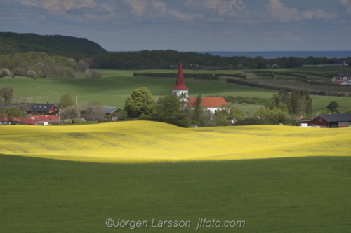 Spring in Skåne Skane Rörums backar, Sweden