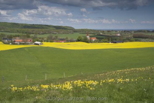 Spring in Skåne Skane Rörums backar, Sweden