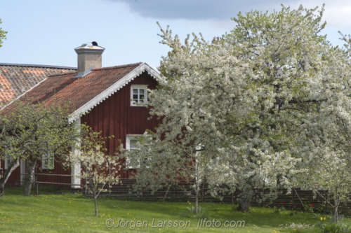 Spring in Småland Sweden  Lunds by