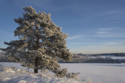 Lästringe Södermanland Sverige Sweden