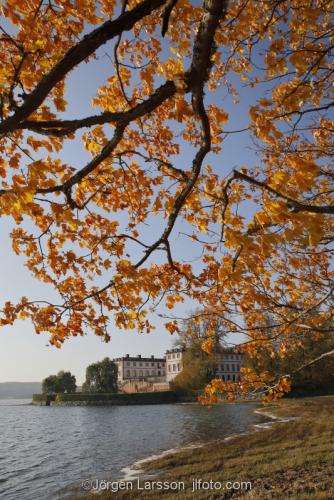 Tullgarns slott Södermanland Sverige park höst 