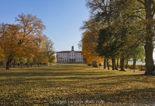 Tullgarn castle Sodermanland Sweden  autumn trees leaves park