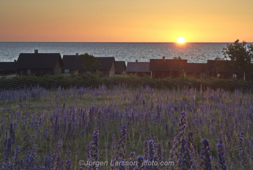 Djupvik Gotland Sweden