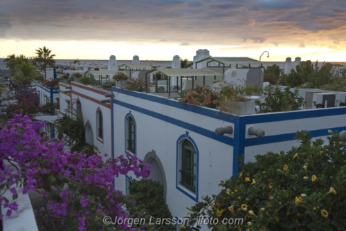 Houses in Puerto de Mogan Gran Canaria Spain Bougainvillea