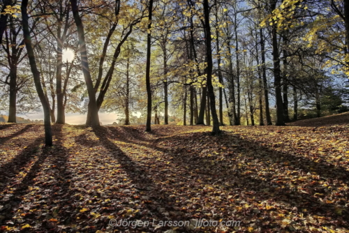 Norsborgsparken Botkyrka Södermanland Sweden