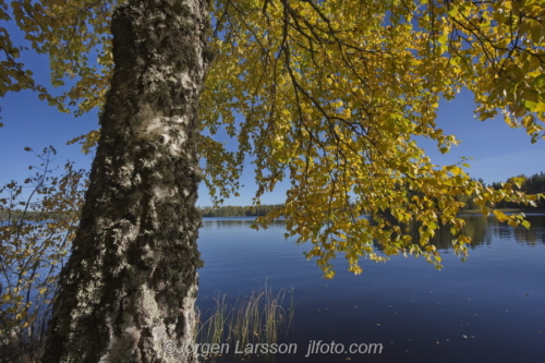 Lake Fläten Östergötland Södermanland Sweden