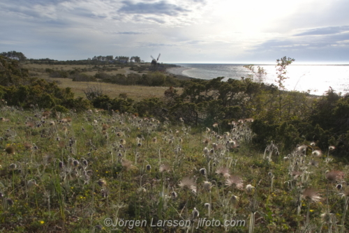 Jordhamn Öland Sweden