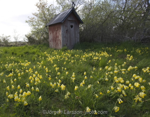 Sandbyborg Öland Sweden