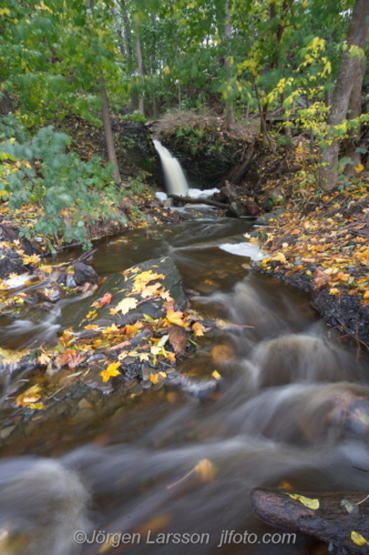 Vättern  Småland Sverige Sweden Watrfall  Vattenfall höst autumn