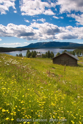 Sällsjö Jämtland Sweden Sverige