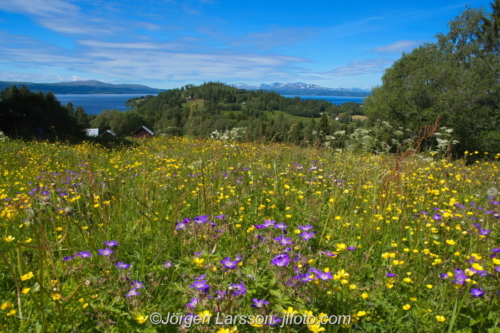 Jämtland Sweden Sverige