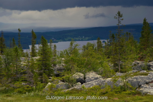 Sällsjön Jämtland Sweden Sverige