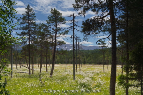 Sällsjö Jämtland Sweden Sverige