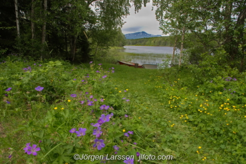 Åreskutan Jämtland Sweden Sverige