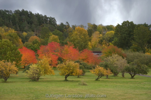 Röttle Småland Sverige Sweden autumn colours