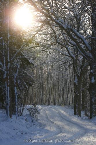 Vinterväg Mörkö Södermanland Sverige 