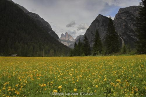 Drei zinnen Dolomiterna Italien