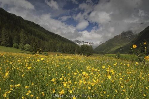 Dolomiterna Italien