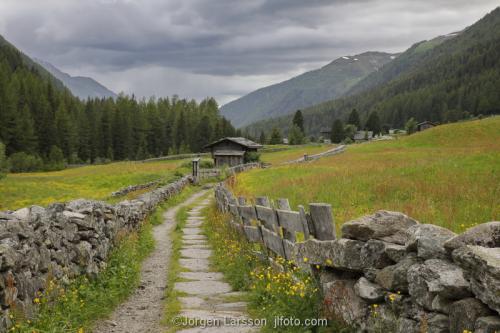 Dolomiterna Italien Väg Blomsterängar  alperna 