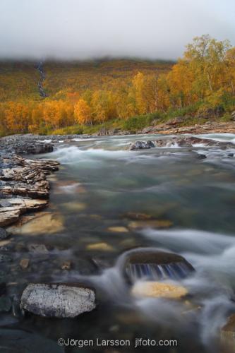 Lappland Laponia Sverige Höst Abisko national park