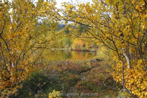 Lappland Sverige