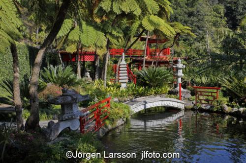 Monte Palace Tropical Garden (Japanese garden) - Monte, Madeira, Portugal