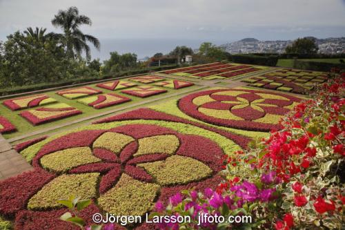 Botanic Garden. Funchal. Madeira Island. Portugalträdgård, plantering