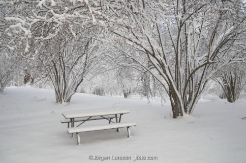 Grödinge vinter Södermanland Sverige