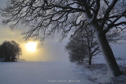 Mörkö Ekar vinter Södermanland Sverige