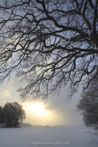 Mörkö Ekar vinter Södermanland Sverige