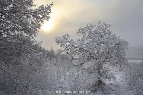 Mörkö vinter Södermanland Sverige