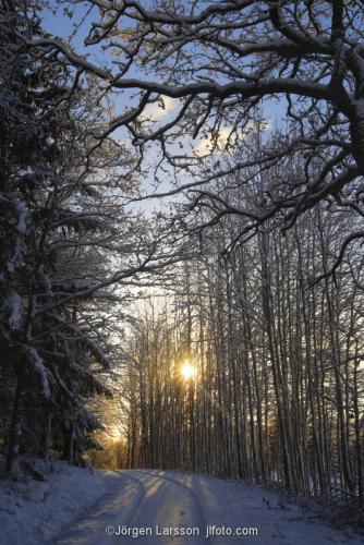 Vinter väg vinterväg Mörkö Södermanland Sverige