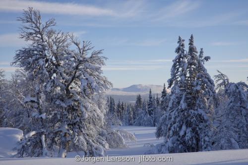 Vinter Härjedalen  Kyla Kallt  Sverige  Fjäll