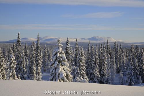 Härjedalen vinter Sverige Fjäll snö 