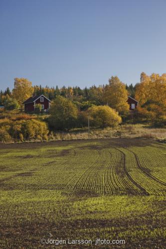 Höstlandskap hus gårdar fält åker Mörkö Södermanland Sverige 