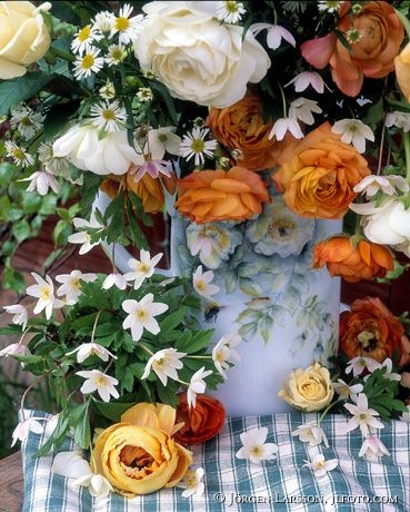 Arranged flowers