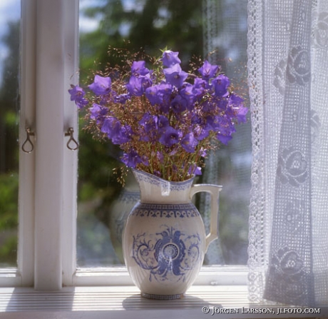Flowers window