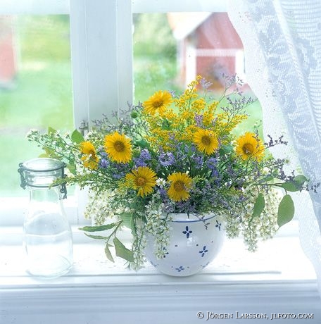 Flowers in window