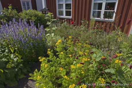 Blommande trädgård Västervik