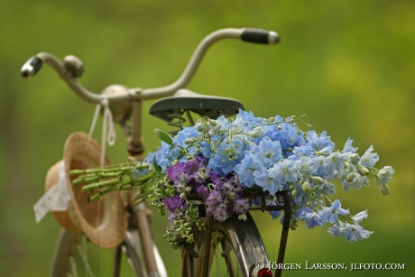 Flowers on bicycle