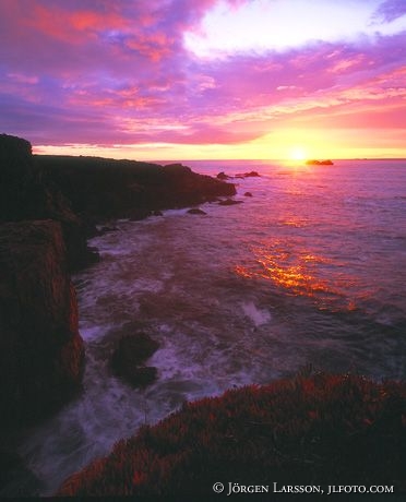Point Lobos California USA