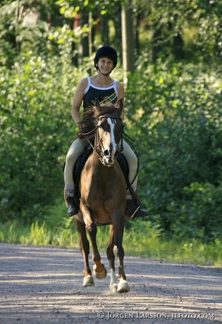 Rider Arab